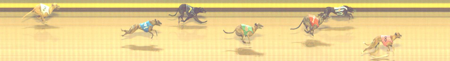 Photo finish for Shepparton Race 11