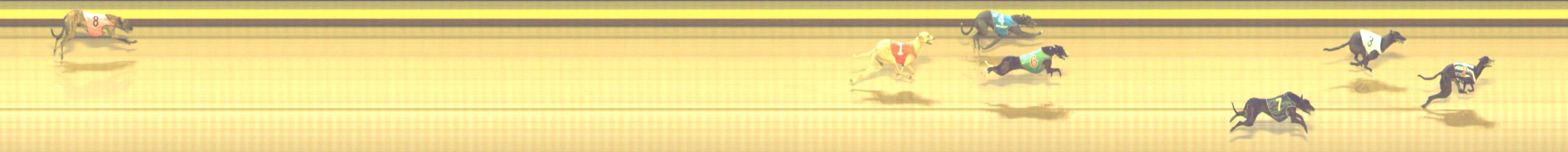 Photo finish for Shepparton Race 12