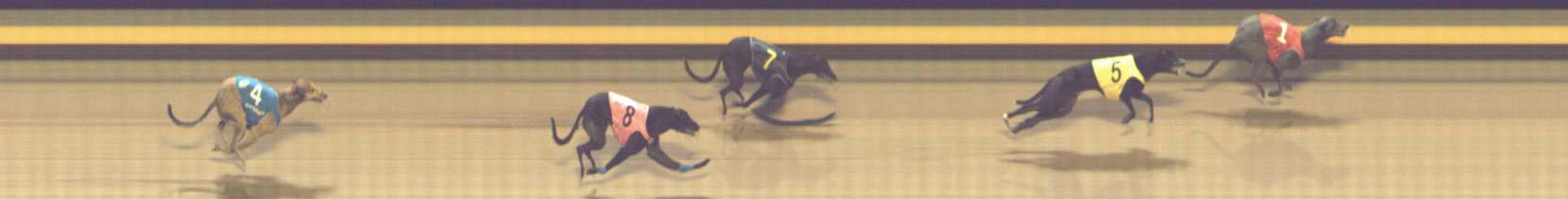 Photo finish for Shepparton Race 13