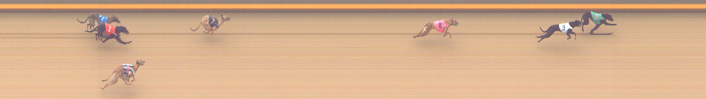 Photo finish for Shepparton Race 1