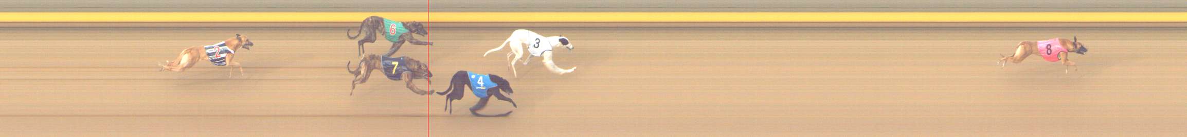 Photo finish for Shepparton Race 10