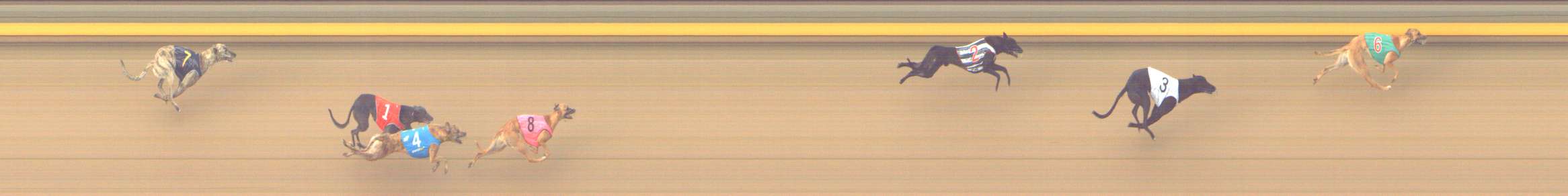 Photo finish for Shepparton Race 11