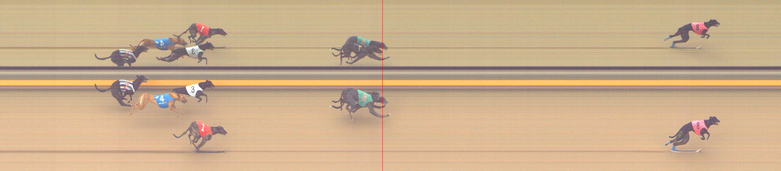 Photo finish for Shepparton Race 12