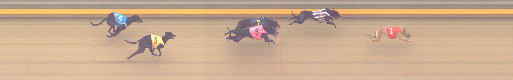 Photo finish for Shepparton Race 13
