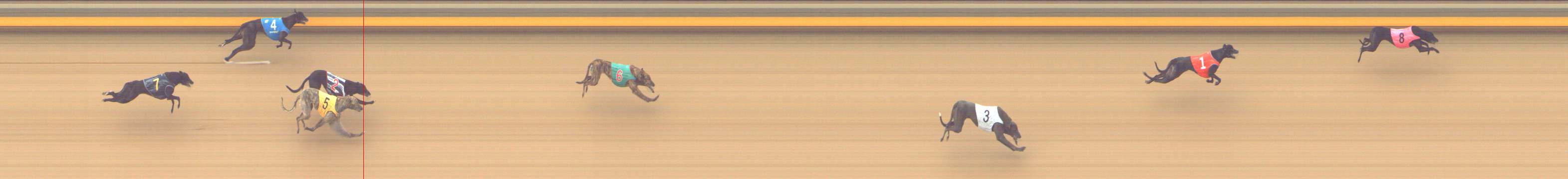 Photo finish for Shepparton Race 2