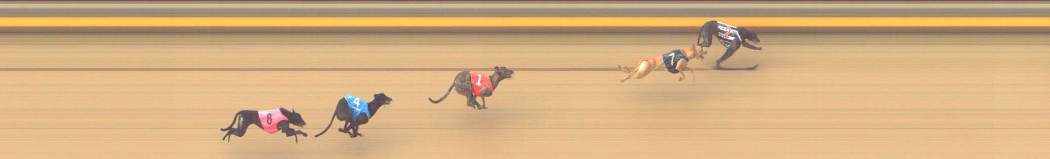 Photo finish for Shepparton Race 3