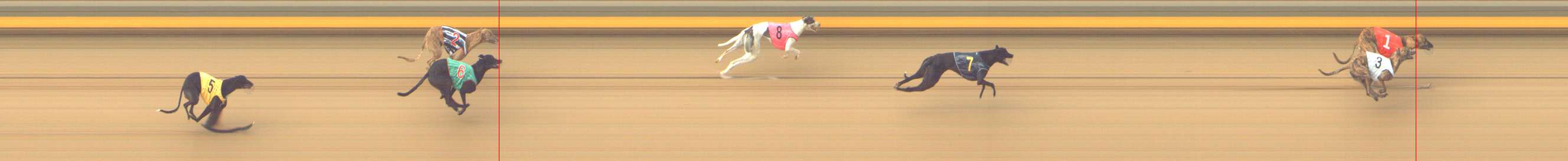 Photo finish for Shepparton Race 4