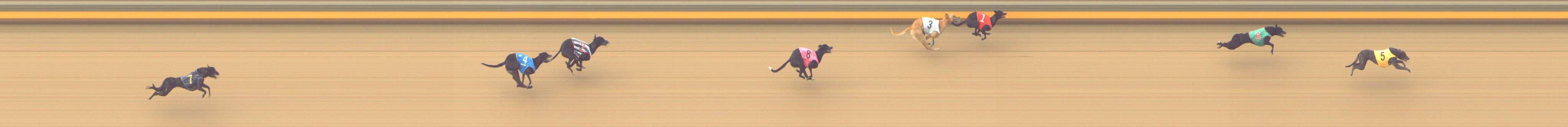 Photo finish for Shepparton Race 5