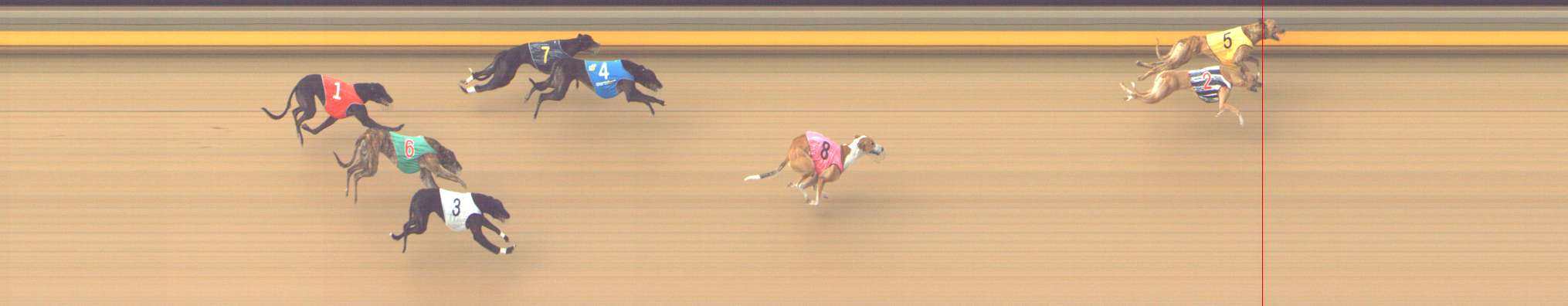 Photo finish for Shepparton Race 6