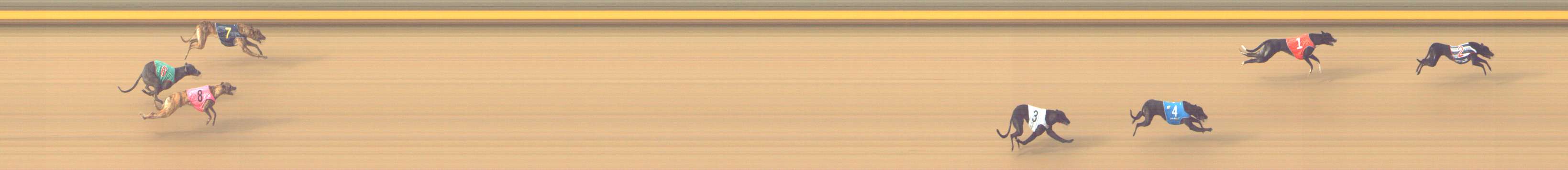 Photo finish for Shepparton Race 7