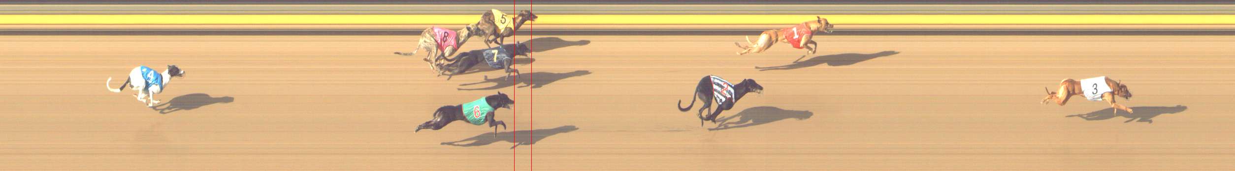 Photo finish for Shepparton Race 8