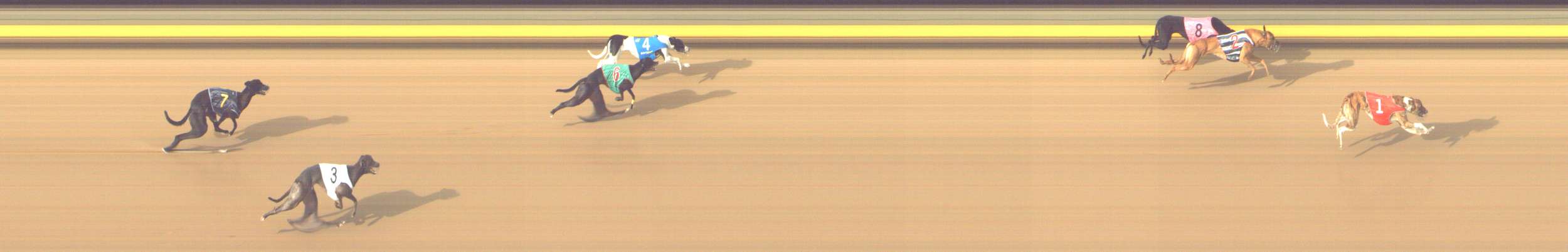 Photo finish for Shepparton Race 9