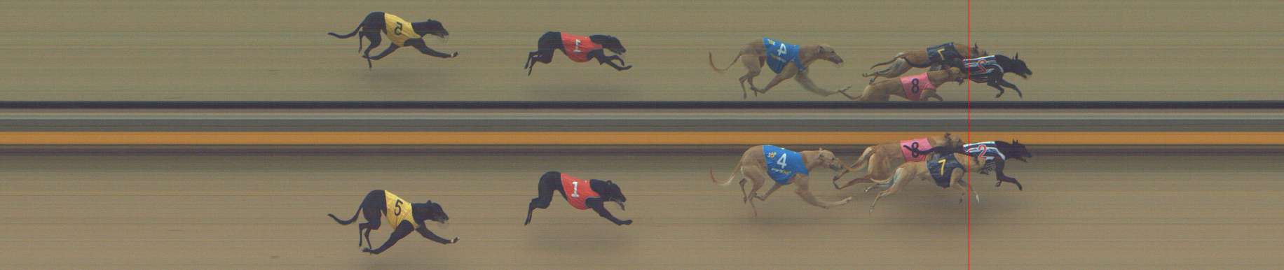 Photo finish for Shepparton Race 1