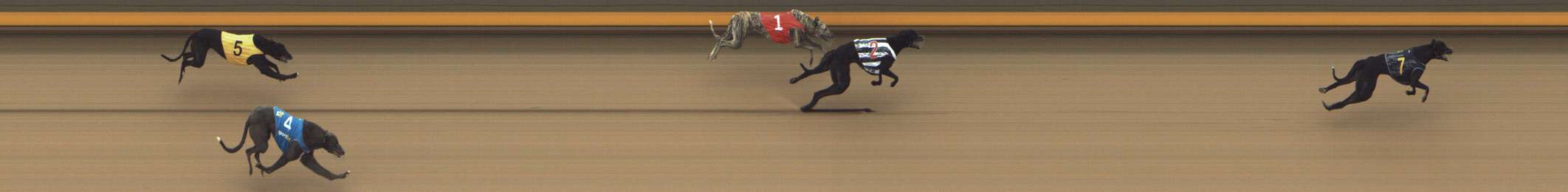 Photo finish for Shepparton Race 2