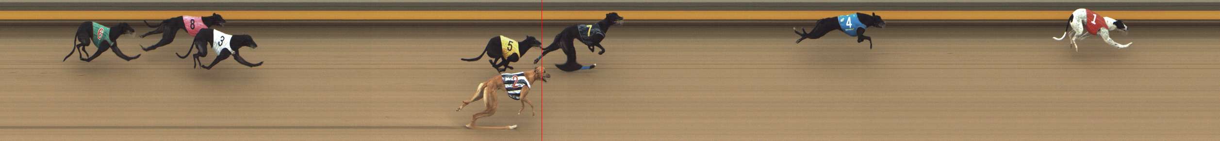 Photo finish for Shepparton Race 3