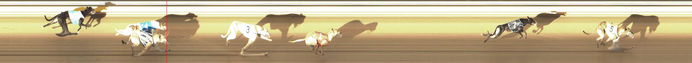Photo finish for Shepparton Race 5