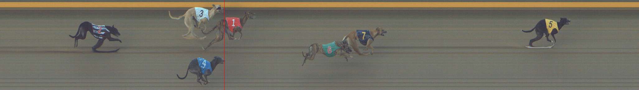 Photo finish for Shepparton Race 6