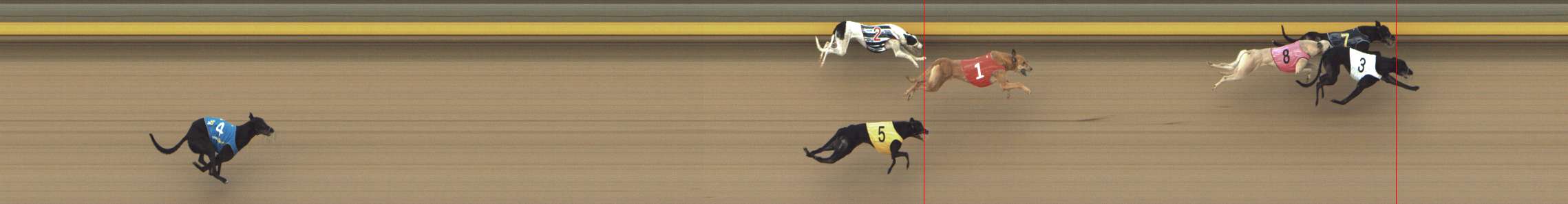 Photo finish for Shepparton Race 8