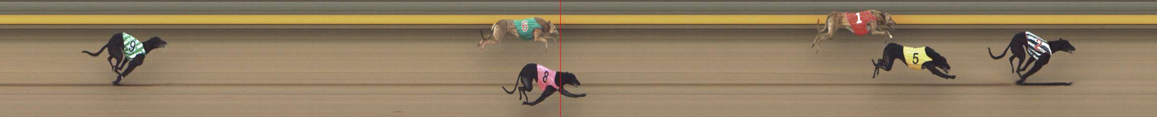 Photo finish for Shepparton Race 9