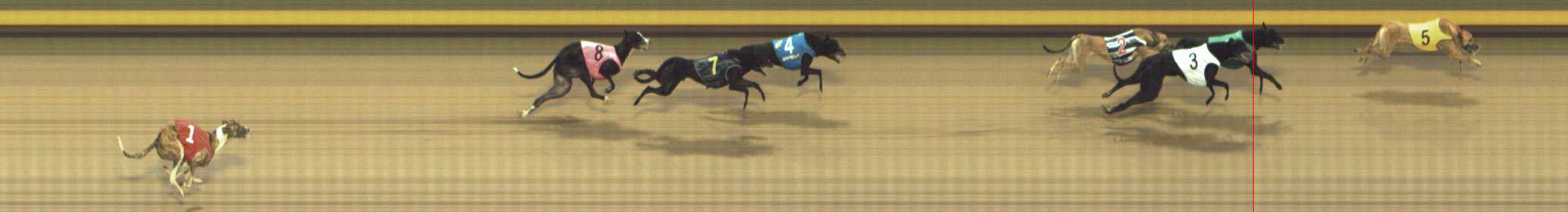 Photo finish for Shepparton Race 10