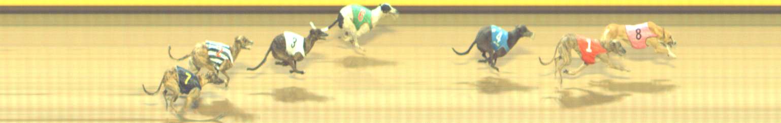 Photo finish for Shepparton Race 11