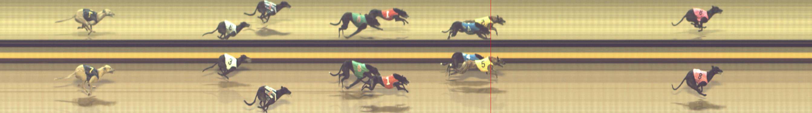 Photo finish for Shepparton Race 12