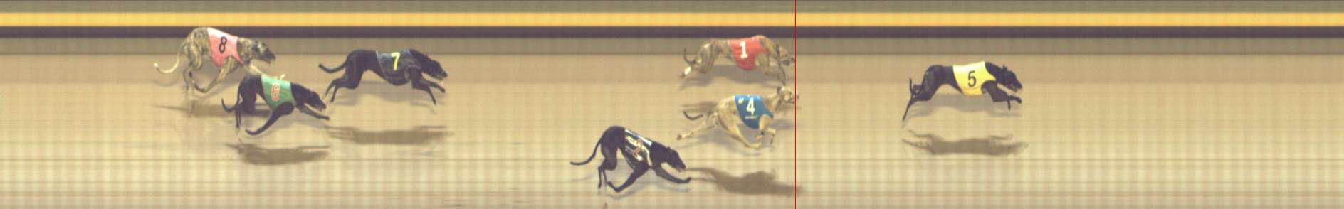 Photo finish for Shepparton Race 13