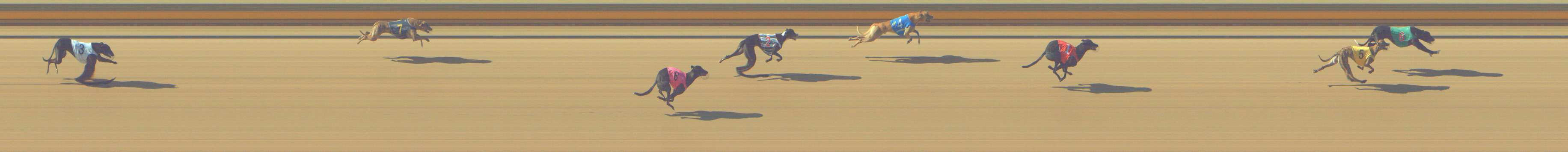 Race result finish photo
