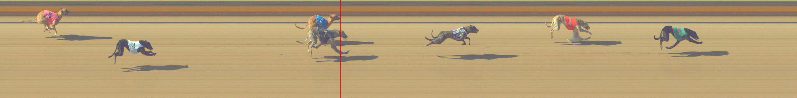 Photo finish for Shepparton Race 2
