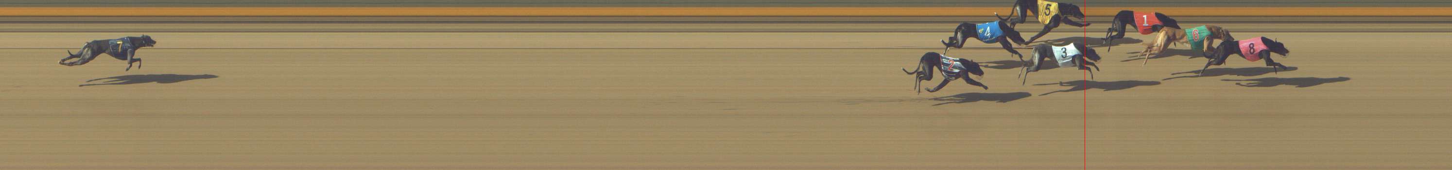 Photo finish for Shepparton Race 4