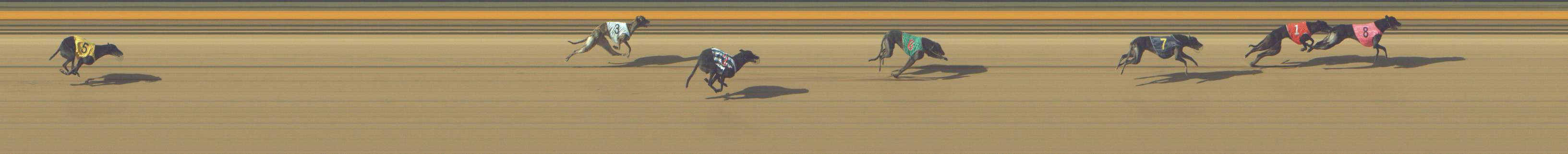 Photo finish for Shepparton Race 5