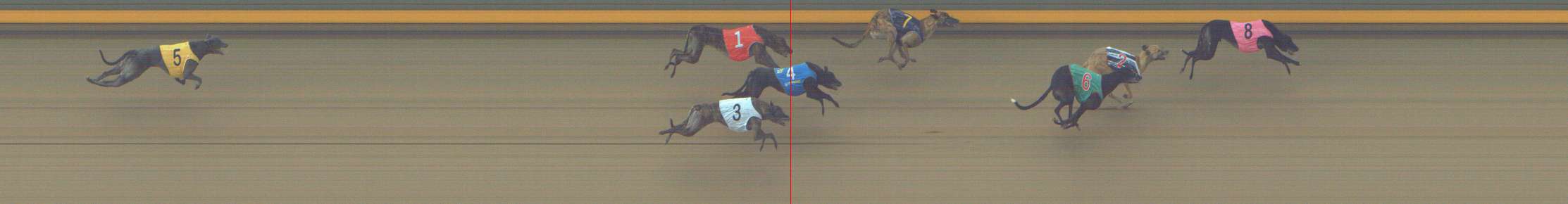 Photo finish for Shepparton Race 6
