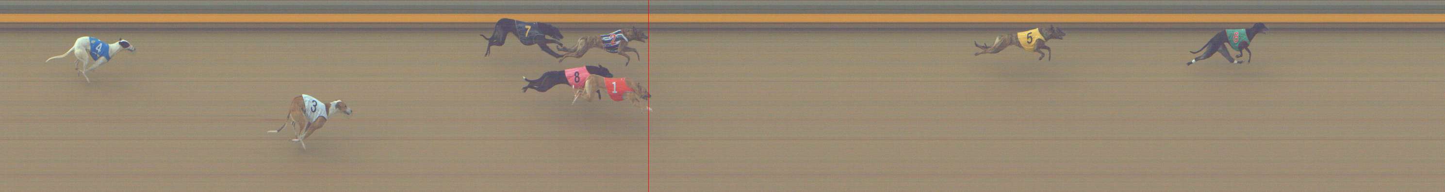 Photo finish for Shepparton Race 7