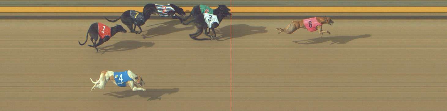 Photo finish for Shepparton Race 8