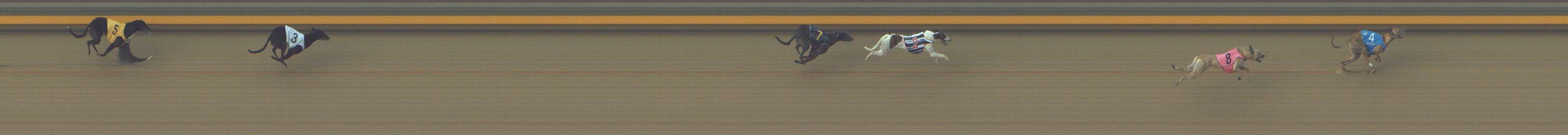 Photo finish for Shepparton Race 9