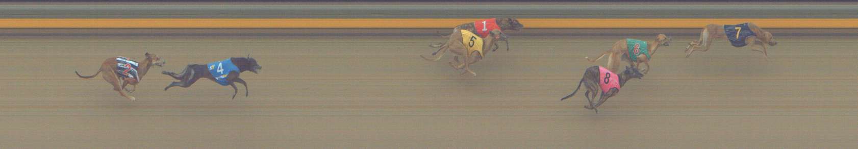 Photo finish for Shepparton Race 10