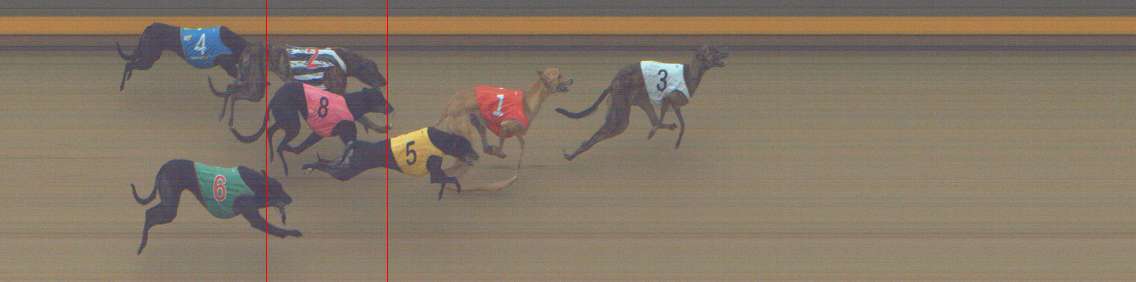 Photo finish for Shepparton Race 11