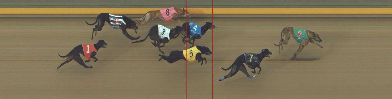 Photo finish for Shepparton Race 12