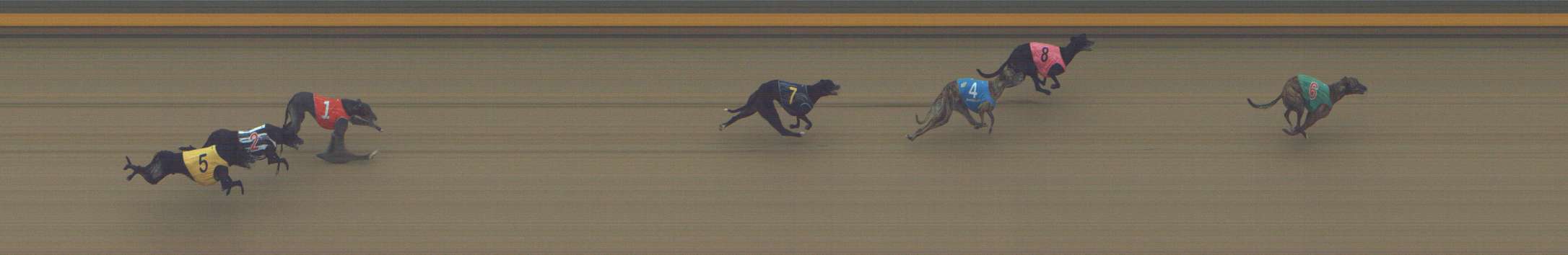 Photo finish for Shepparton Race 13