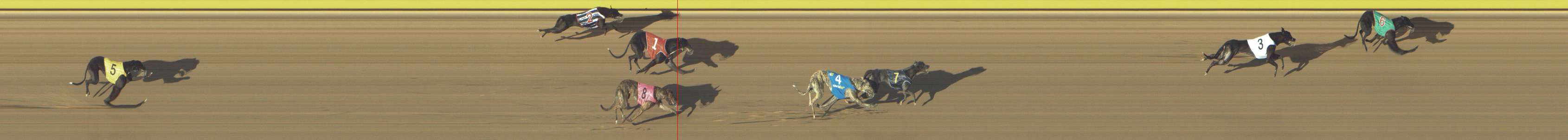 Photo finish for Shepparton Race 1