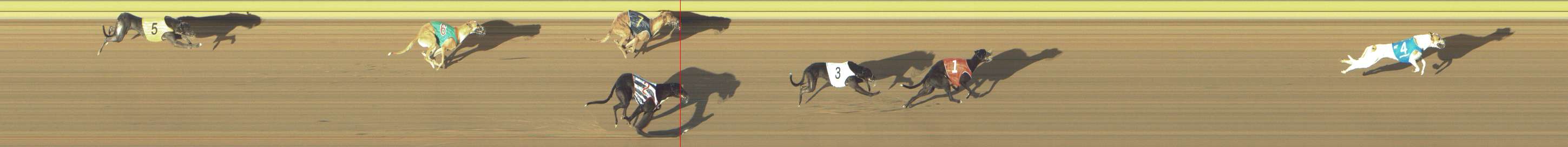Photo finish for Shepparton Race 2