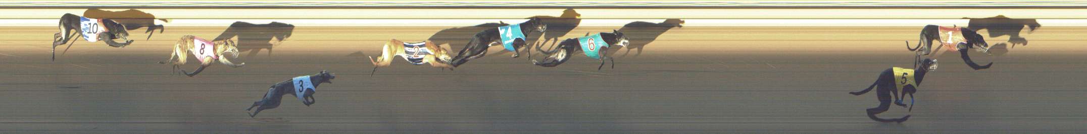 Photo finish for Shepparton Race 3