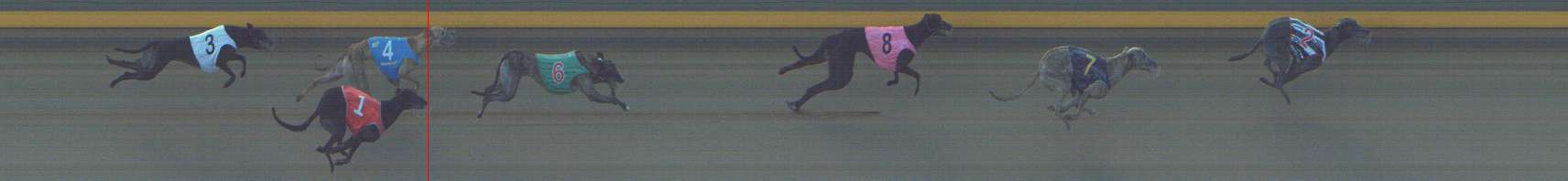 Photo finish for Shepparton Race 4