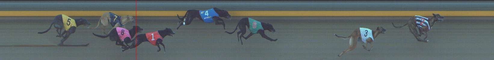 Photo finish for Shepparton Race 5
