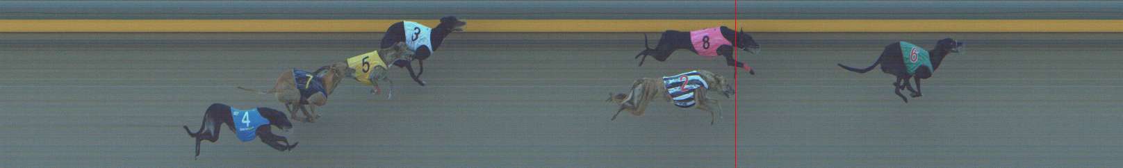Photo finish for Shepparton Race 6