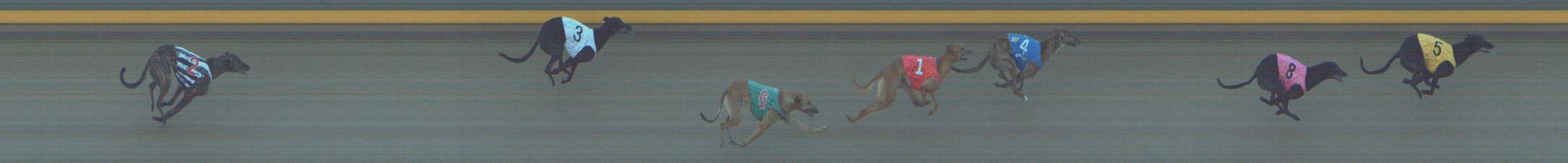 Photo finish for Shepparton Race 7