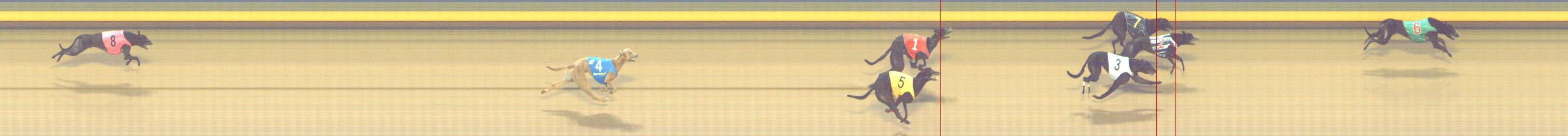 Photo finish for Shepparton Race 8