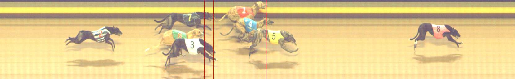 Photo finish for Shepparton Race 9