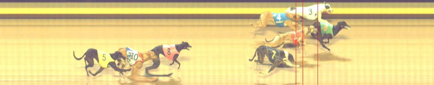 Photo finish for Shepparton Race 10