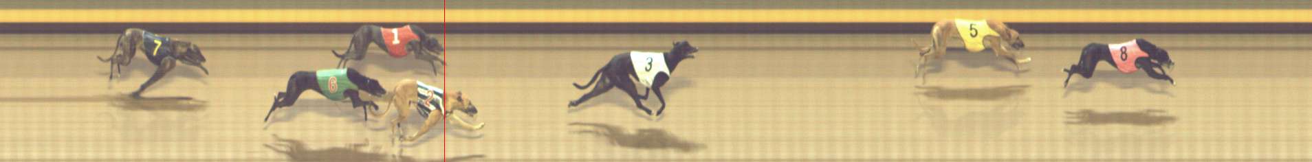 Photo finish for Shepparton Race 11